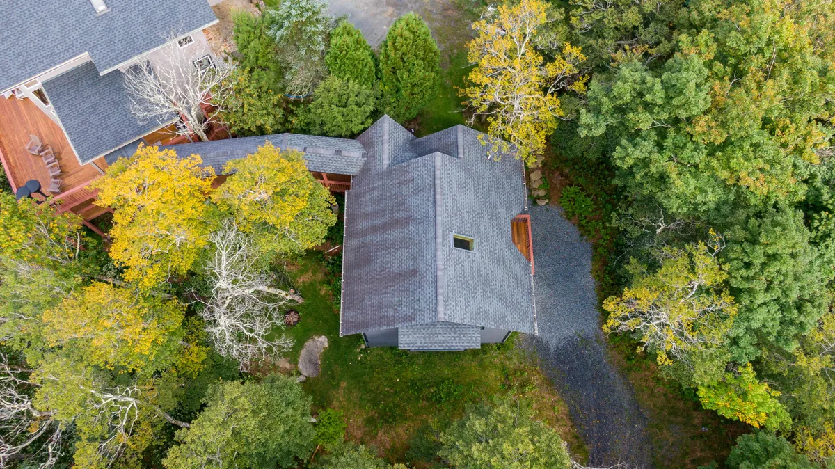 The image showcases the house nestled among tall trees with a winding pathway leading through the natural landscape. The scene embodies a serene, pet-friendly environment perfect for outdoor exploration and relaxation.