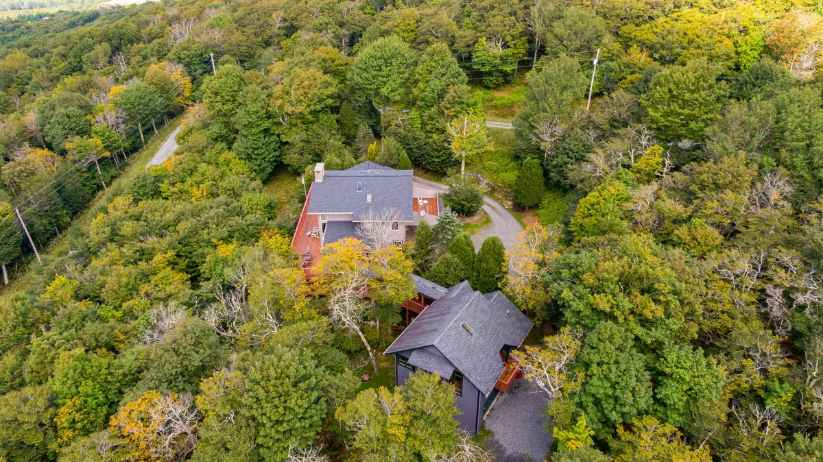The image shows a peaceful, wooded landscape with a curved driveway leading to two distinct buildings nestled among the trees. The setup visually conveys the unique dual-home arrangement of the property, with both homes clearly visible and separated by nature, yet connected by the shared exterior environment.